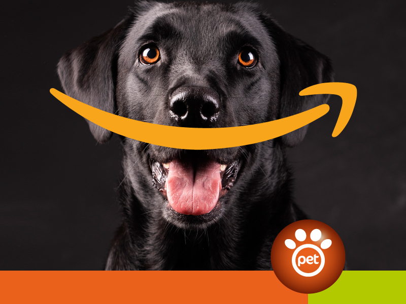 pet marketing black dog friday