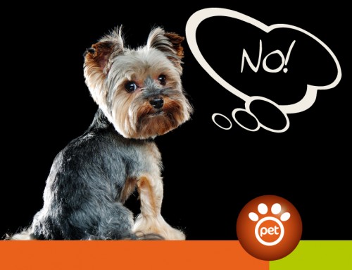Pet Marketing: quando bisogna saper dire di no
